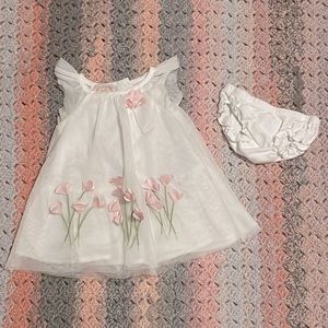 Newborn Baby Biscotti Dress